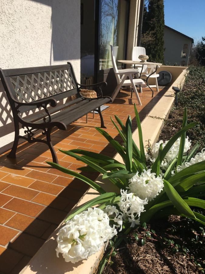 Exklusives Apartment In Bad Saeckingen Fuer 2 Person ภายนอก รูปภาพ